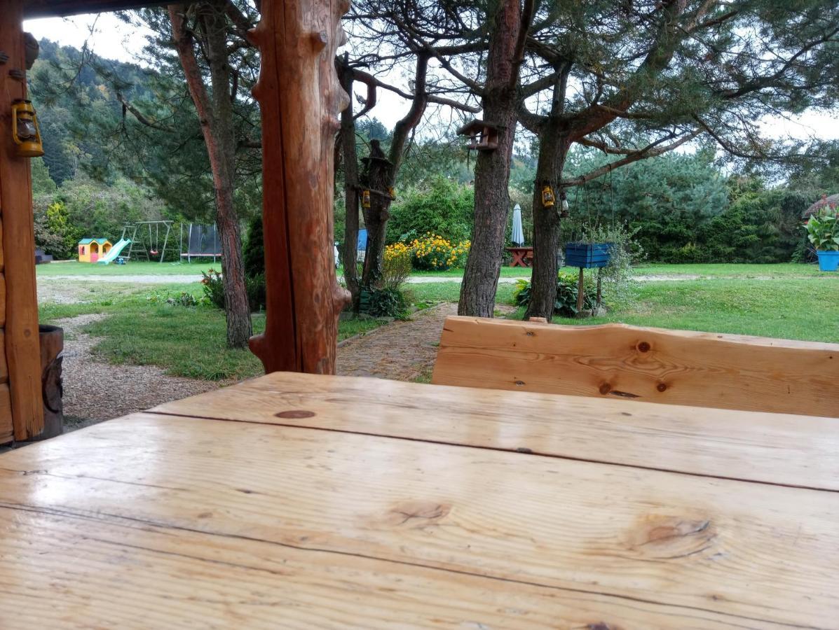 Cztery Pory Roku - Dom Villa Lutowiska Buitenkant foto