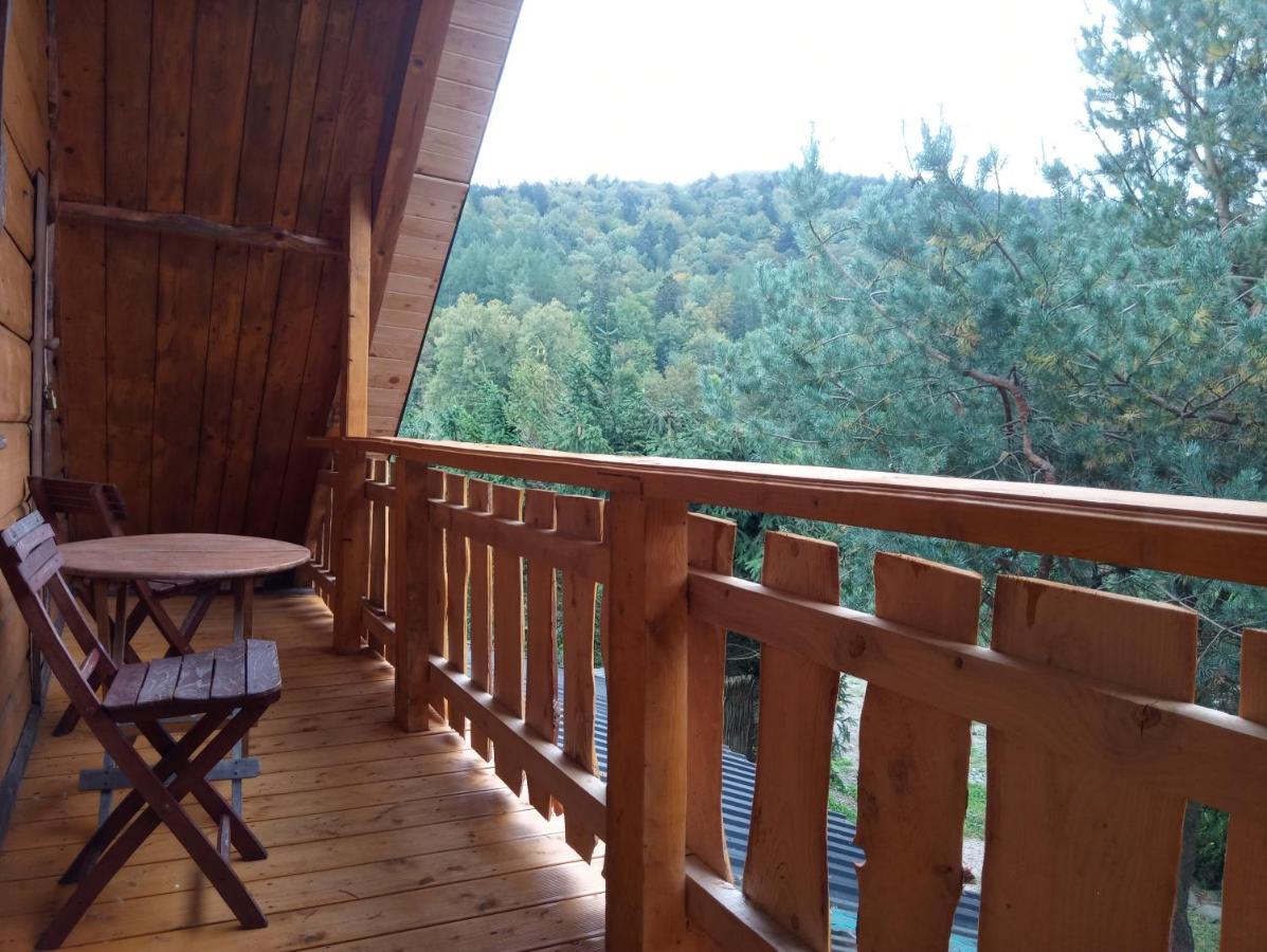 Cztery Pory Roku - Dom Villa Lutowiska Buitenkant foto